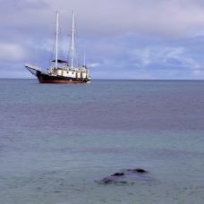 Galapagos 007.jpg