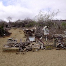 Galapagos 008.jpg