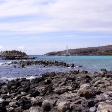 Galapagos 033.jpg