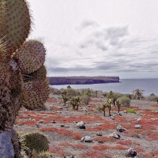 Galapagos 040.jpg