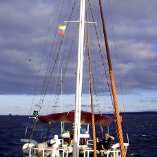 Galapagos 049.jpg