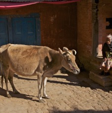 Valle Kathmandu 009.jpg