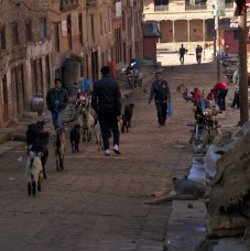 Valle Kathmandu 035.jpg