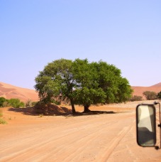 Namibia 013.jpg