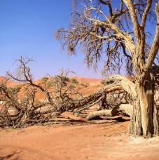 Namibia 014.jpg