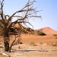 Namibia 015.jpg