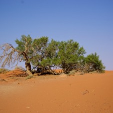 Namibia 017.jpg