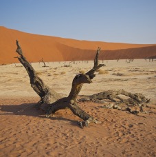 Namibia 030.jpg