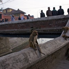 Il fiume dei morti 015.jpg