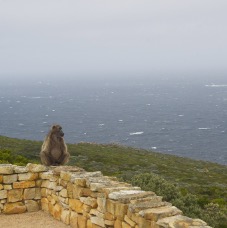 CapeTown 024.jpg