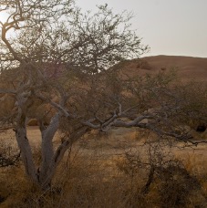 Spitzkoppe 007.jpg