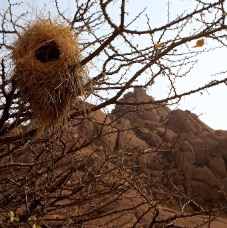 Spitzkoppe 016.jpg