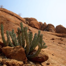 Spitzkoppe 024.jpg