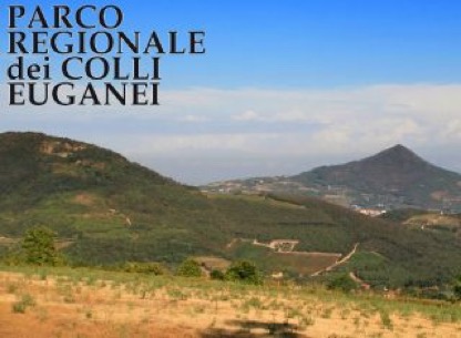 Parco-dei-Colli-Euganei-320x234